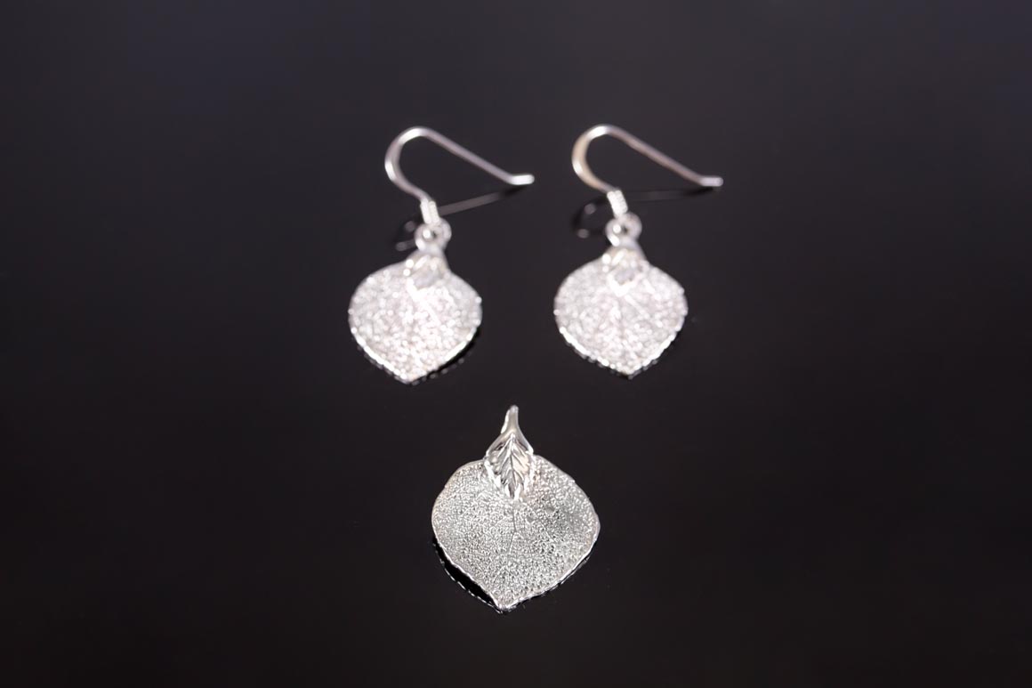 Jewelry and Fossil Shop of Steamboat Springs, Co