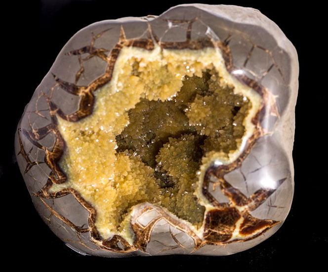 Jewelry and Fossil Shop Jewelry and Fossil Shop of Steamboat Springs, Co