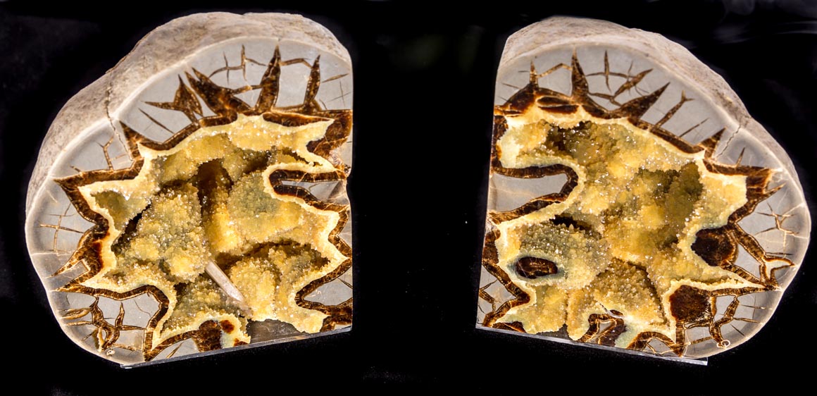 Jewelry and Fossil Shop Jewelry and Fossil Shop of Steamboat Springs, Co