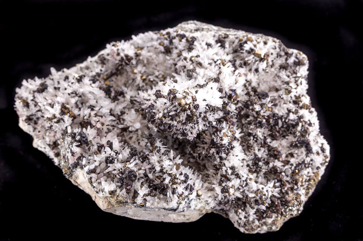Jewelry and Fossil Shop Jewelry and Fossil Shop of Steamboat Springs, Co