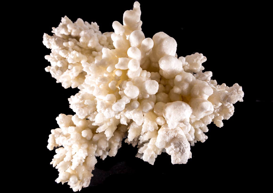 Jewelry and Fossil Shop of Steamboat Springs, Co