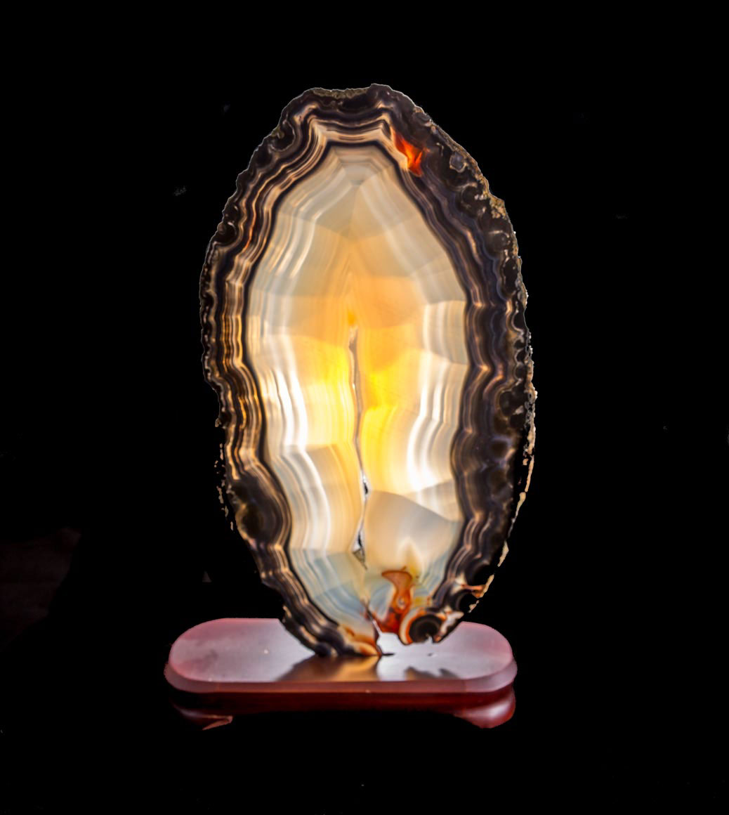 Jewelry and Fossil Shop of Steamboat Springs, Co