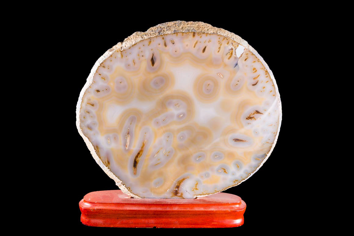 Jewelry and Fossil Shop Jewelry and Fossil Shop of Steamboat Springs, Co