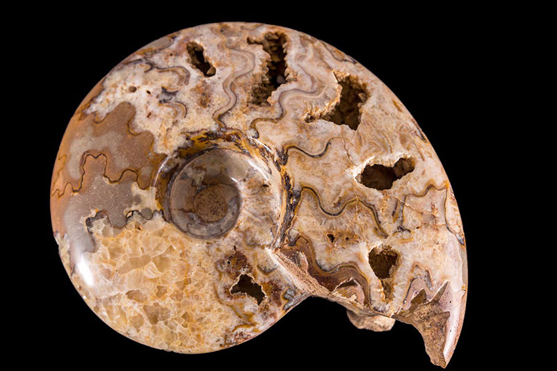 Jewelry and Fossil Shop of Steamboat Springs, Co