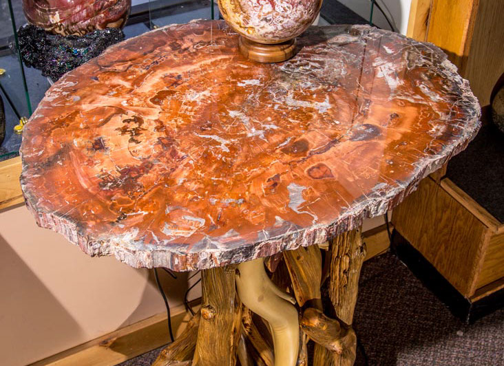 Jewelry and Fossil Shop Jewelry and Fossil Shop of Steamboat Springs, Co