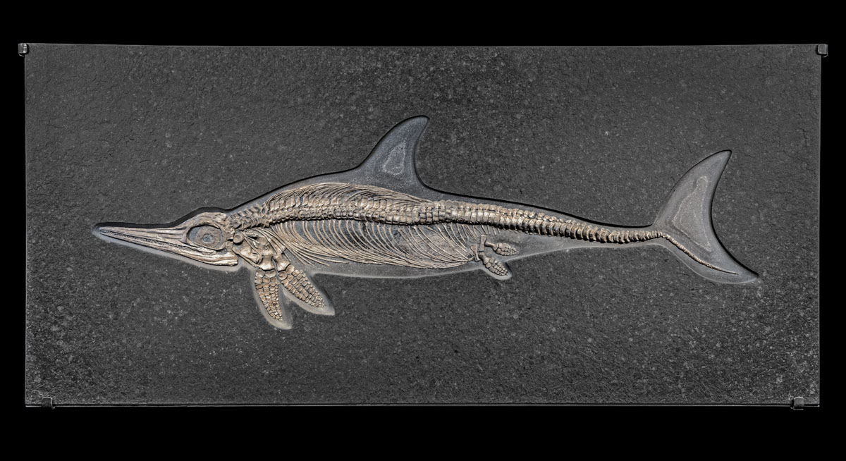 Jewelry and Fossil Shop of Steamboat Springs, Co