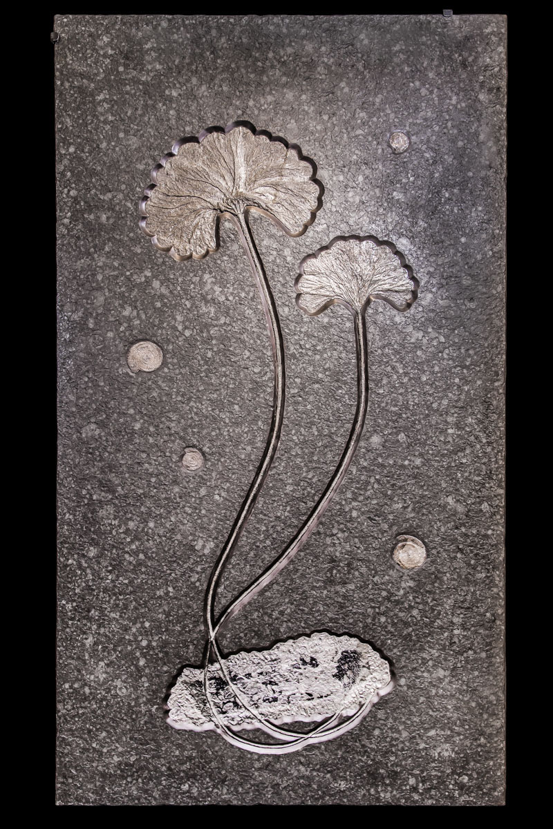 Jewelry and Fossil Shop of Steamboat Springs, Co