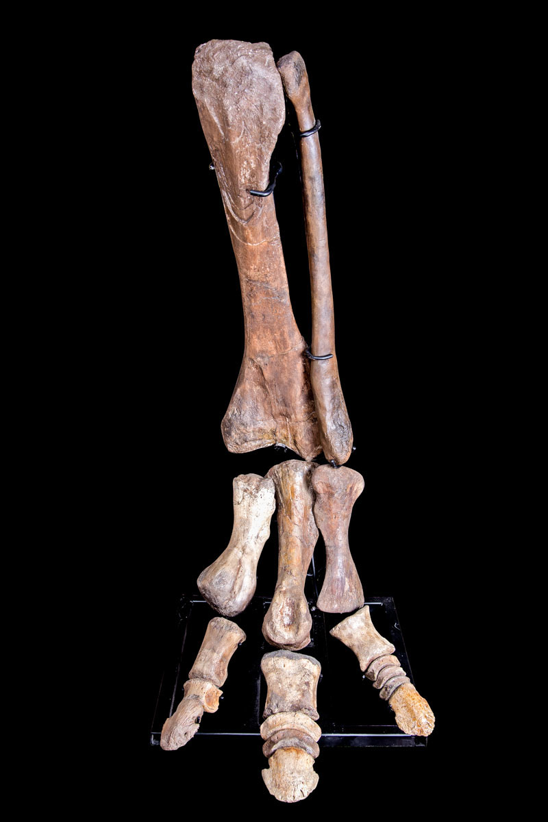 Jewelry and Fossil Shop of Steamboat Springs, Co